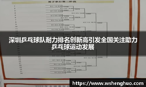 深圳乒乓球队耐力排名创新高引发全国关注助力乒乓球运动发展